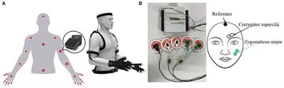 American Sign Language Translation Using Wearable Inertial and Electromyography Sensors for Tracking Hand Movements and Facial Expressions